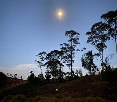 Naduvattam House | Thendral: Delightful homestay on a hill near Ooty