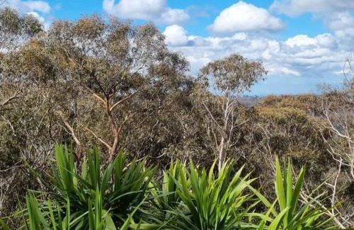 Wentworth Falls House | Thira in the Mountains