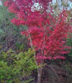 Wentworth Falls House | Thira in the Mountains