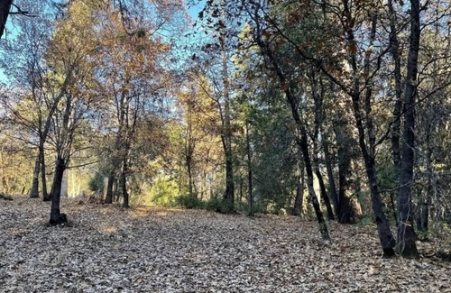 Sonora RV Rental | This campsite provides the ultimate outdoor experience!