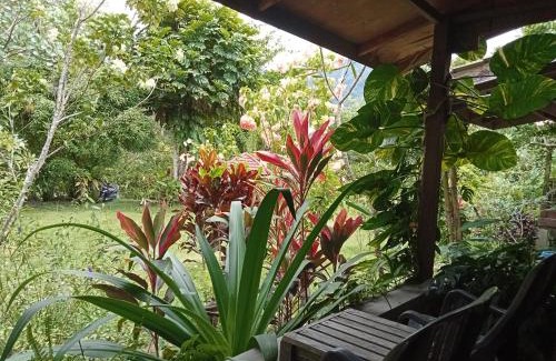 Ketambe Bed & Breakfast | Thousand hills ketambe ,room and treking