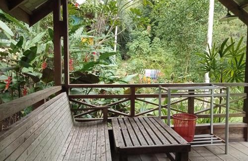 Ketambe Bed & Breakfast | Thousand hills ketambe ,room and treking