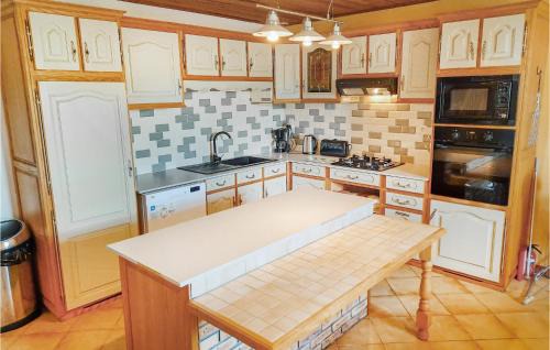 Saint-Martin-sur-Oust House | Three-Bedroom Holiday Home In Ruffiac