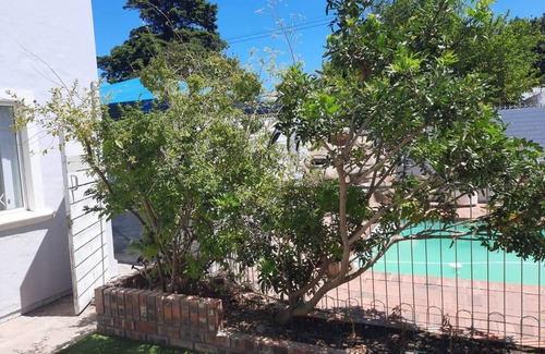 Rondebosch House | Three bedrooms in tranquil setting in Rondebosch