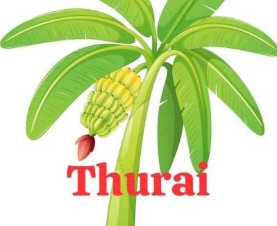 Valikamam South House | thurai guest house