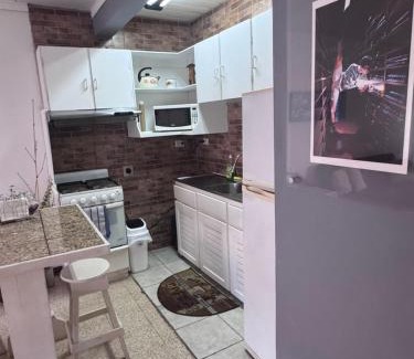Mata Redonda Apartment | Tico Experience in a Family-Friendly Neighborhood