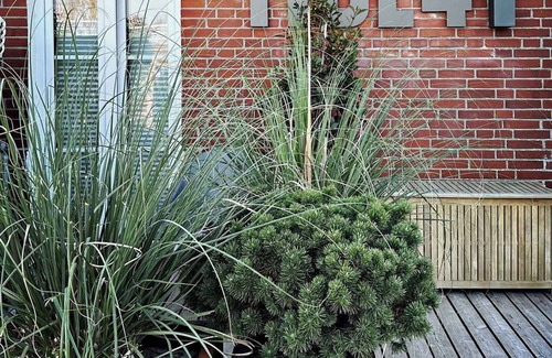 Wittduen Apartment | TIDE4 Amrum No. 4 - Cozy studio for 2, 100m to the sea, dogs welcome