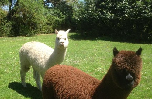 Baraqueville Bed & Breakfast | Timali