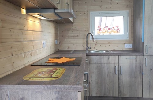 Mayrhof Apartment | Tiny House 'Unser Großer Tiny House' with Mountain View, Shared Garden and Wi-Fi