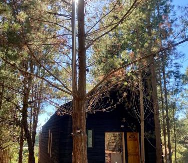 Pichilemu House | Tiny Houses del bosque