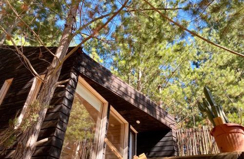 Pichilemu House | Tiny Houses del bosque