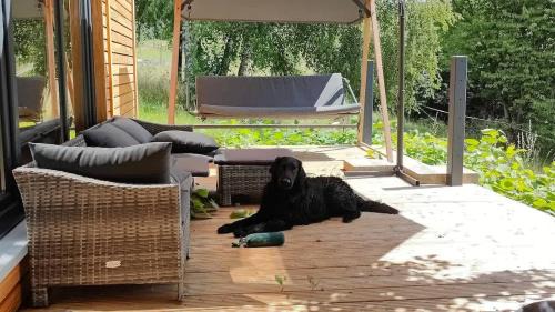 Buhlau House | TinyHousebeiDresden 3 für 2 - 7 Personen, Nähe Sächsische Schweiz, Dresden, mit Badeteich