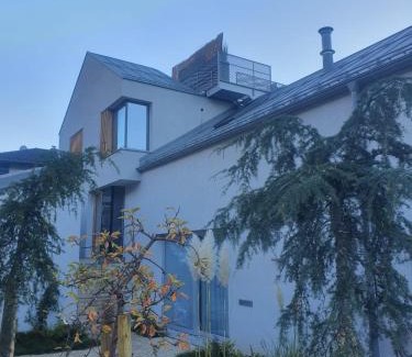 Maurach Villa | TIROLER TRIS modern villa 10 beds