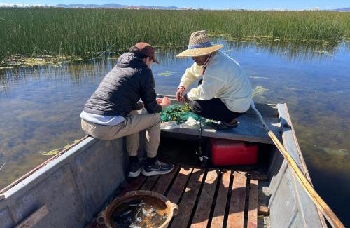 Puno House | Titicaca uros floating lodge