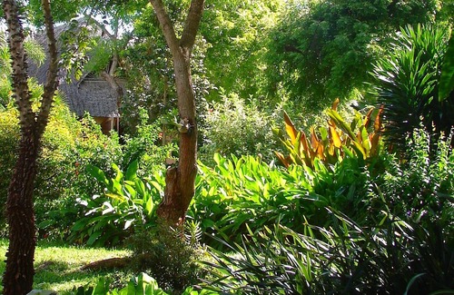 Tiwi Villa | Tiwani Sunset, a little piece of Eden