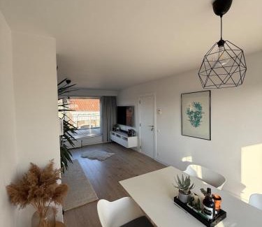 Boom Apartment | TML 500m Luxurieus Penthouse 2 balconys