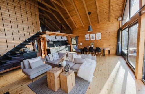 Zachotin House | Toksol Black