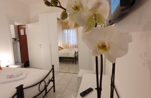 Giambellino Apartment | Tolstoj Apartment MIlano
