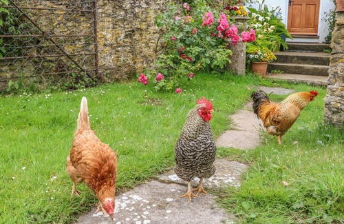 Watermouth Cottage | TOM'S HOUSE, character holiday cottage, with a garden in Berrynarbor