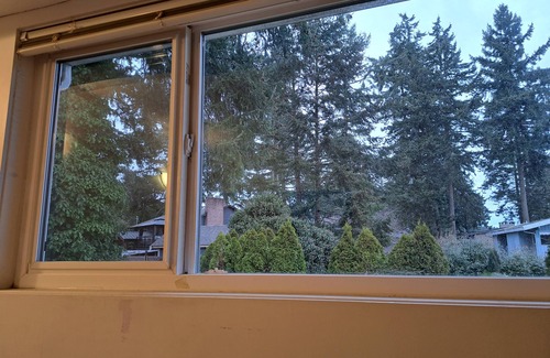 Departure Bay House | Top of the hill, centre of town: a bright, family-friendly place to call home