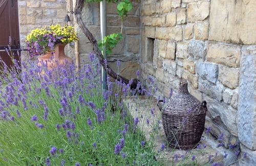 Koper House | Topolovec historic Istrian rustic villa on the hilltop of Slovenia coast