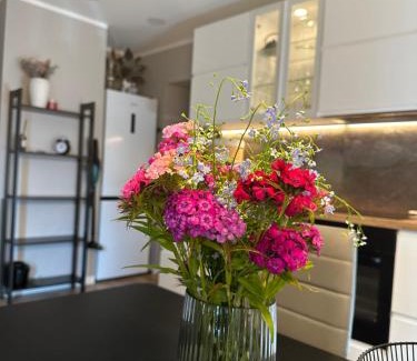 Roja Apartment | Torņa apartamenti