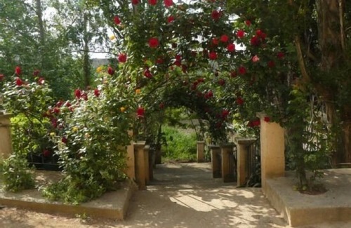 Ainzon Cottage | Torre de Campos cottage for 2 people