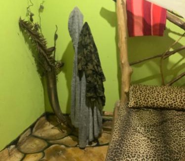Kampala Apartment | Tortoise park , Ecolodge & Campsite