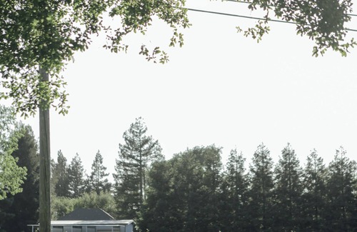 Walnut Grove House | Towne Estate & Vineyard on the Sacramento River