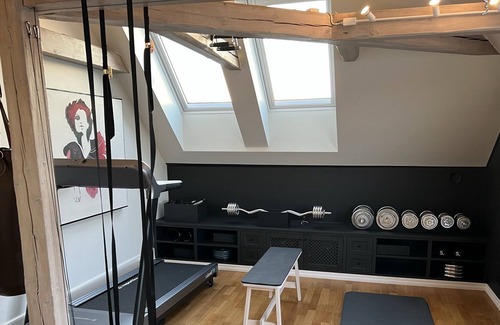 Skoyen Villa | Townhouse in Oslo (garden, balcony, car)