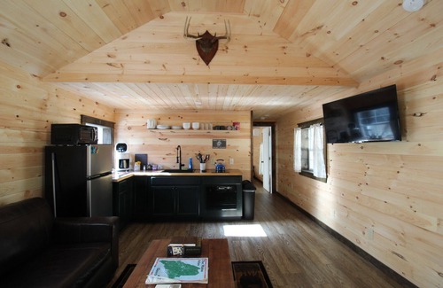 Norway Cabin | Trailside cabin w/sauna, minutes to town & lake, skiing nearby. Pet Friendly!