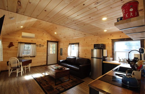 Norway Cabin | Trailside cabin w/sauna, minutes to town & lake, skiing nearby. Pet Friendly!