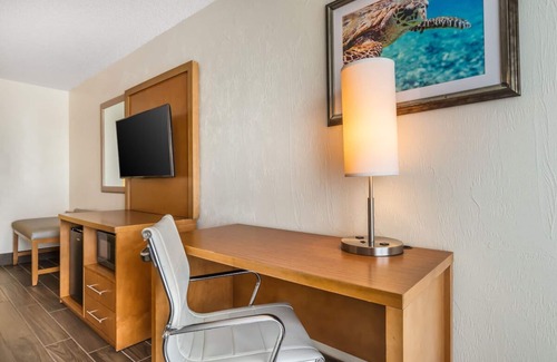 Seabreeze Park House | Tranquil Beachfront Stay | Unwind or Explore—Adventure Awaits by the Sea