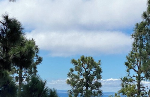 Rancho Palos Verdes Apartment | Tranquil oceanview apartment in Palos Verdes