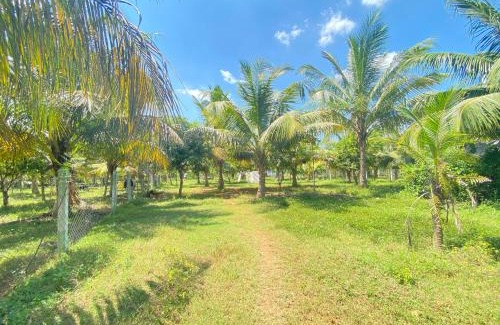 Tiruvettipuram House | Tranquil Retreat