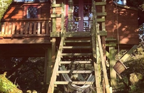 Lostwithiel Cabin | Tree House near Eden Project