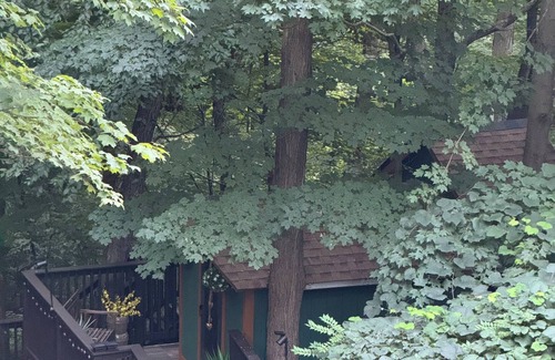 Danbury Cabin | Treehouse Magic & Chic Greenhouse Vibes. Glamping In Style! Middle of Danbury,CT