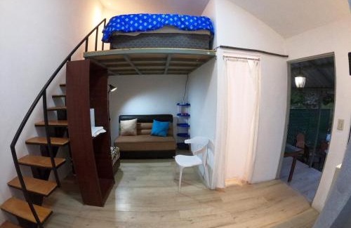 San Salvador Apartment | Treehouse Magical In the heart of City
