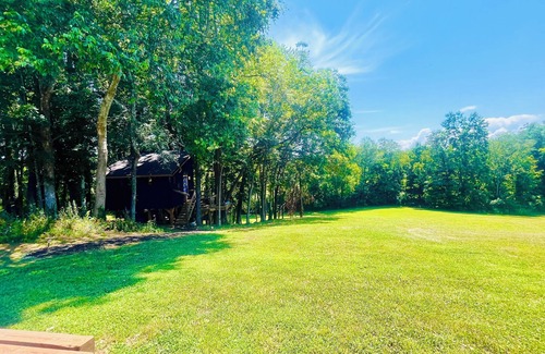 Doyle Apartment | Treehouse with Wall of Windows#Love#Waterfalls#OutdoorMovieNight#TNStateParks
