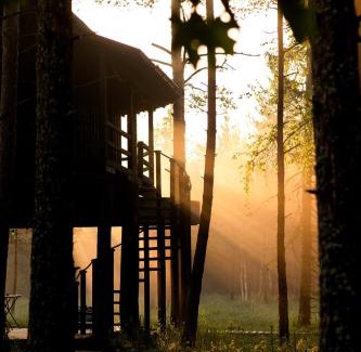 Saue Parish Cabin | Treehouseestonia
