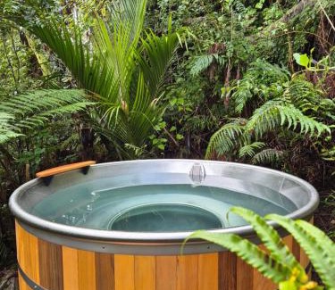 Punakaiki House | Treescapes - Rainforest Hot Tub 2km from Punakaiki