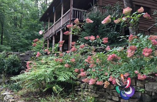 Cataloochee Ranch Cabin | Treetop is a private and tranquil cabin retreat minutes from Cataloochee