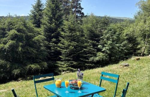 Chalmazel-Jeansagniere Apartment | Triplex Montagnard avec Sauna et Balcon, Vue Pistes - FR-1-496-338