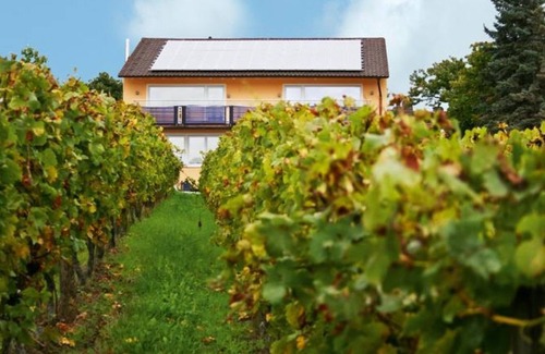 Bad Duerkheim Apartment | Trittschennest - house on the mountain