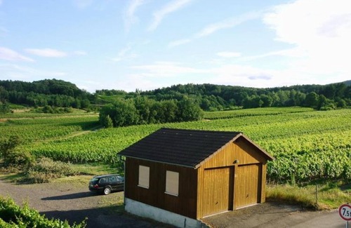 Bad Duerkheim Apartment | Trittschennest - house on the mountain