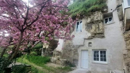 Montlouis-sur-Loire House | Troglo entre Caves et Châteaux