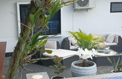 Boxel Apartment | Tropical appartement 2