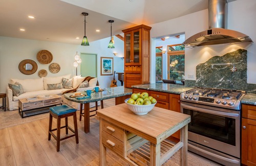 East Mesa House | Tropical Retreat North - Fun on East Mesa