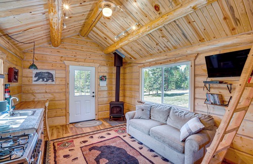 Trout Creek Apartment | Trout Creek Tiny House w/Mtn Views & Fireplace
