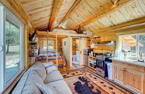 Trout Creek Apartment | Trout Creek Tiny House w/Mtn Views & Fireplace